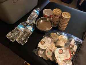 canned cat food, food dishes, and water